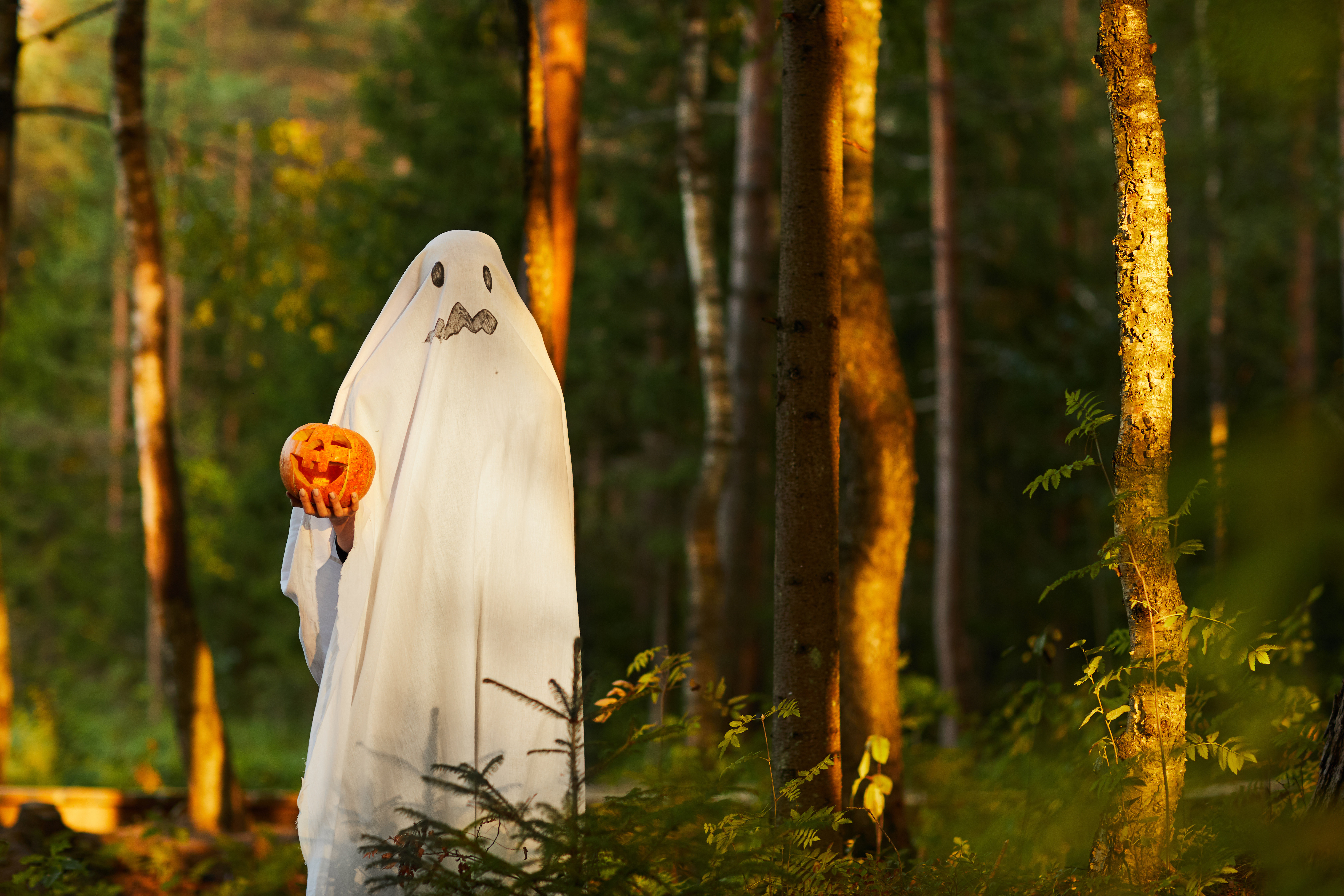 Lee más sobre el artículo [:es]En Halloween no asustes a nuestro planeta[:]