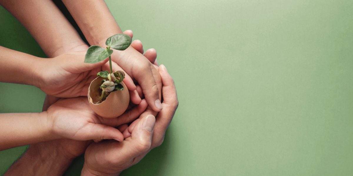 hands holding seedling in eggshells, montessori education , CSR Corporate social responsibility, Eco green sustainable living concept,zero waste, plastic free,world food day, responsible comsumption