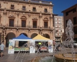 Celebrem amb la Natura