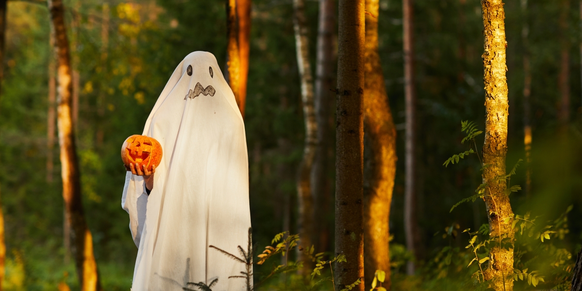 Full length portrait of spooky child dressed as ghost holding pumpkin standing in dark forest on Halloween, copy space